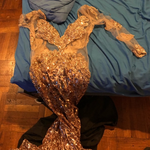 PROM DRESS GOLD AND ROSE GOLD LONG SLEEVE MESH - Picture 8 of 8